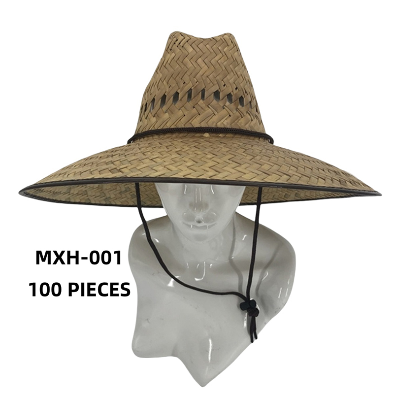 MXH-001 CS-100